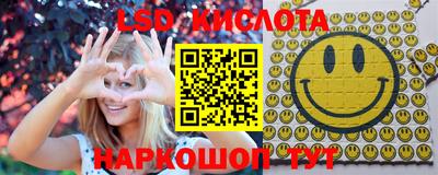 гидропоника Будённовск