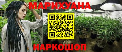 стаф Бугуруслан