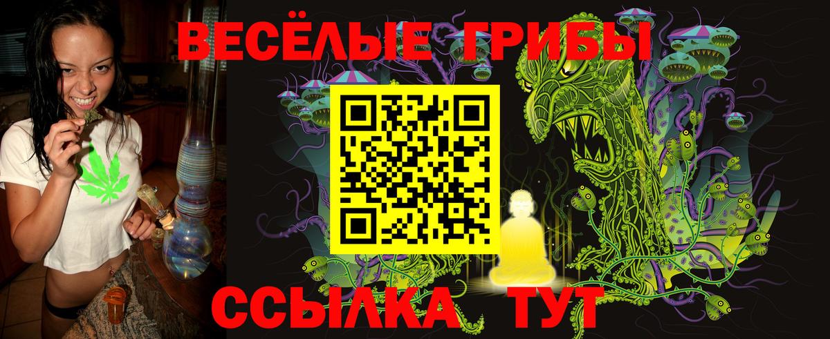 Галлюциногенные грибы Magic Shrooms  Вход с VPN  Галлюциногенные грибы Magic Shrooms  Озёры 